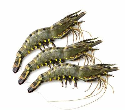 Seafood & Aquatic Products