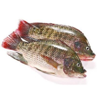Seafood & Aquatic Products