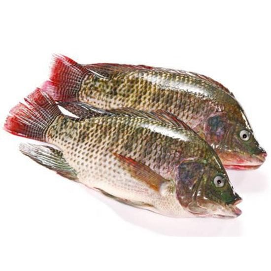 Seafood & Aquatic Products