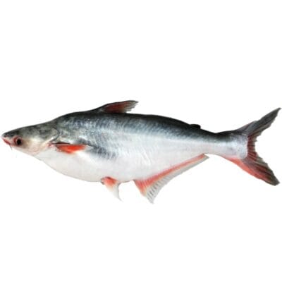Seafood & Aquatic Products