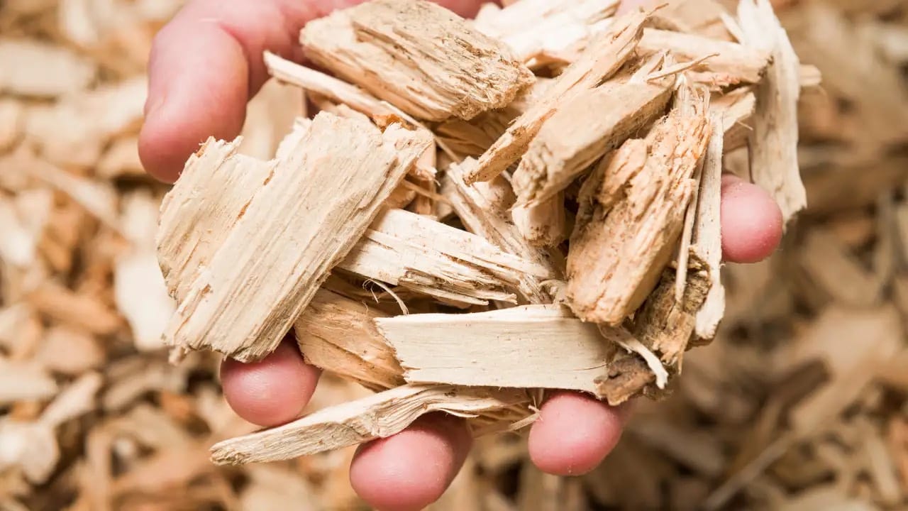 Woodchips